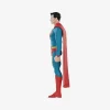 DC-serien Trendig figur