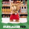 Ted2-ted Actionplyschfigur